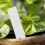 500 Étiquettes Réutilisables PVC pour Plantes/Pots 4