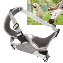 Adjustable Grey No Pull Dog Harness for Medium & Large Dogs XL