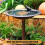 2pcs Bird Bath Purification Disk Purification Cleaner with Three-Point Support Safe Clean Water for Outdoor Birdbath 4