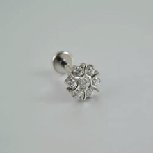 Titanium sneeuwvlokvormige oorbellen met zirkonia en platte achterkant.