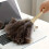 Beechwood Handle Feather Duster for Furniture Cleaning, 6