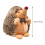 Hedgehog Plush Toy Soft Stuffed Animal 2 Pieces 5