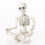 12 Inch Posable Anatomical Skeleton Model with Movable 5