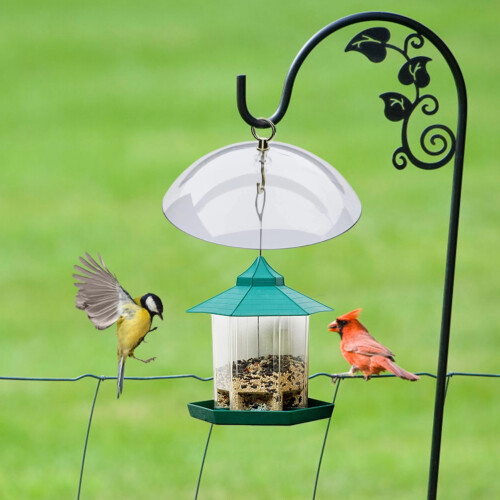 Bird Feeder Baffle Weather Guard 2