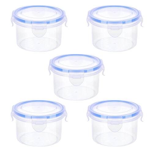 Clear Plastic Food Container With Secure Lids-extra large