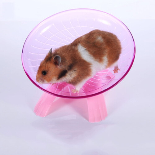 Hamster Flying Saucer Wheel Exercise Toy 2 pcs 2