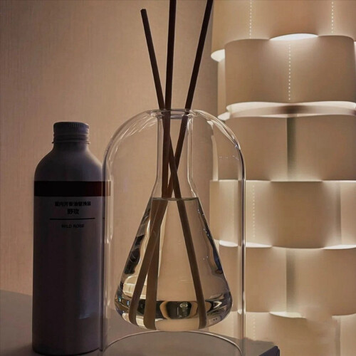2X Storage Diffuser Bottles Aromatherapy Bottle Modern Glass Essential 2