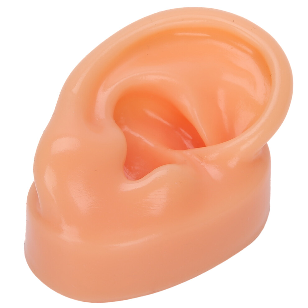 Silicone Right Ear Model for Hearing Aid Display and Training