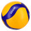 Professional competition indoor training volleyball 2