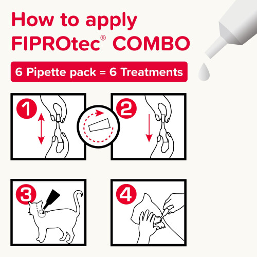 Beaphar Beaphar - FIPROtec COMBO for Cats – 6 pipettes - Kills Fleas, Flea Eggs, Flea L 2