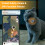 Pawfit Lite for Cats 4G GPS Tracker | World’s Smallest ( 3