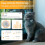 Pawfit Lite for Cats 4g GPS Tracker | Ultra-Small ( 4