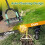 Heavy Duty 15-Spike Lawn Aerator 3