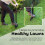 Heavy Duty Hollow Tine Aerator 4