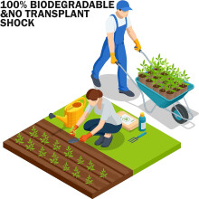 96-Pack Biodegradable Seed Pots