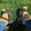 Pre-Assembled Spiked Aerator Shoes 2