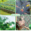 4x5m Heavy Duty Garden Netting 4