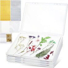 5 Pcs Dried Flower Storage Set with Storage Box for A4 Size Blotting Paper Letter Stickers,for Keeping Color Dry for DIY