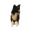 Sculpture d'animal de compagnie Unique imprimée-Bordure Collie 1