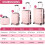4 Piece Travel Luggage Sets 2