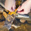 Folding Fish Observation Bag Clear Fish Weigh Bag for Observing Backpacking 7