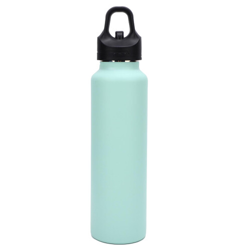 316SS isolierte Wasserflasche 25oz 30x7,5cm grün 2