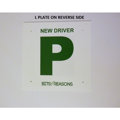 BITS4REASONS L&P PLATE - REVERSIBLE SINGLE PLATE W/HOLES 2