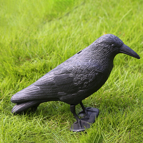 Crow Decoy Realistic Plastic Standing Statue 1 Piece 2