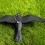 Crow Decoy Realistic Plastic Standing Statue 1 Piece 4