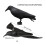 Crow Decoy Realistic Plastic Standing Statue 1 Piece 5