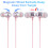 USB-C Wired Earbuds with Mic, Noise Canceling, 2-Pack 2