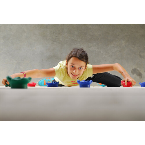 Hudora Climbing 12 Pieces Holds - Multicoloured, One Size 1