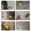 Floor Line Level Blue Lighting Right Angle Tile Level Tool Self Leveling High Accuracy Square Line Leveler 4