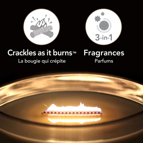 WoodWick WoodWick Ellipse Trilogy Scented Candle | Calming 2