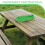 HEMOTON Poultry Feeding Box Green Plastic Large Capacity 8