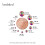 Beadsland Flat Back Crystal Rhinestones,CrystalAB,SS20/1440pcs,4.6-4.8mm 3