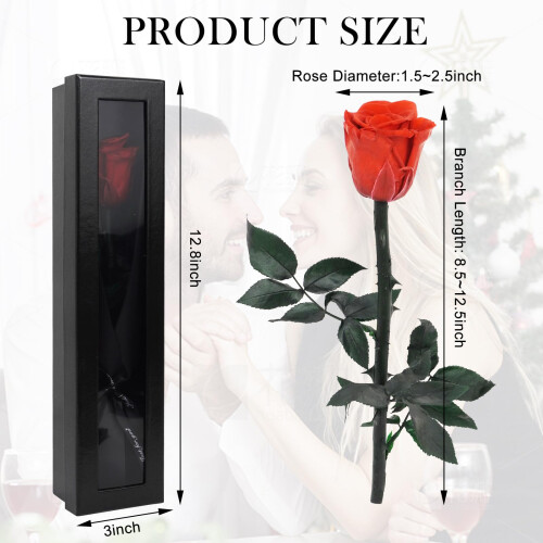 ZephyrCraft Eternal Real Rose in Box, Preserved 1