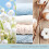 Yankee Candle Yankee Candle Scented Candles Set, Clean Cotton 2
