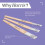 Harris Harris Seriously Good Fitch Paint Brushes Pack Of 4