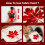 Nicpro Red Fabric Paint, 8.45 oz (250 ml) Fabric 5