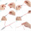 HAUSPROFI Embroidery Threads, 150 Colors Cross 6