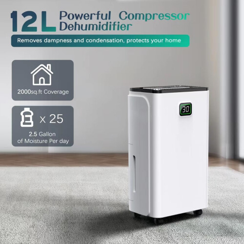 12L/Day Dehumidifiers for Home, Dehumidifier with 1