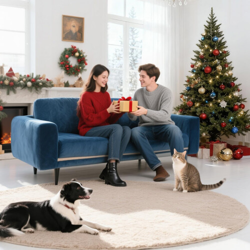 VERONLY Couch Cushion Support for Sagging Seat - 1