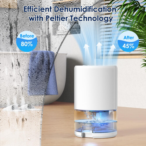 Dehumidifiers for Home, 500ML/Day Dehumidifier 2