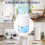 Dehumidifiers for Home, 500ML/Day Dehumidifier 6