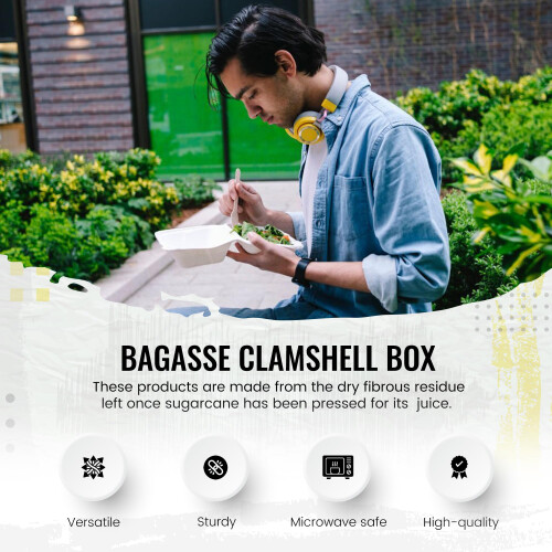 Biodegradable Sugarcane Clamshell Takeaway Box 9 2