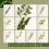 YYUENG TAK 200pcs Green Pipe Cleaners for Craft 6