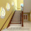 Modern Acrylic Leaf Wall Light 12W Warm White 25x12cm 12