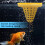Aquarium Floating Feeder Compacts Design Reduces Mess Safe 4