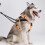 Sledding Harness For Large Dogs Adjustable Strap -Gray 4